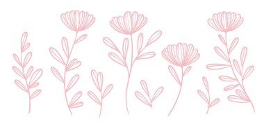 Pembe çizgili sanat çiçekli illüstrasyon vektör karalamaları, bahar çiçeği narin el çizimi papatya vektör klipsi seti