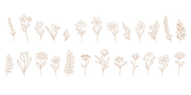 Küçük çiçek karalamaları, vektör bitki çizim seti, zarif bej desenli çiçek çizgileri, şirin bahar klipsi seti, izole edilmiş.