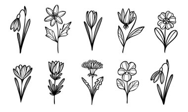 Küçük bahar çiçek vektör karalamaları, el çizimi küçük bitki çizimleri, çizgi çizimi botanik çizim dekorasyon seti, izole edilmiş