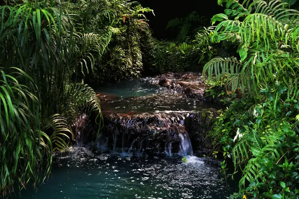 Wasserfall Mit Gartenpflanzen Hintergrund Stockbild