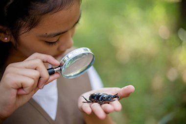 Parktaki bir böceği incelemek için büyüteç kullanan küçük bir Asyalı kız..