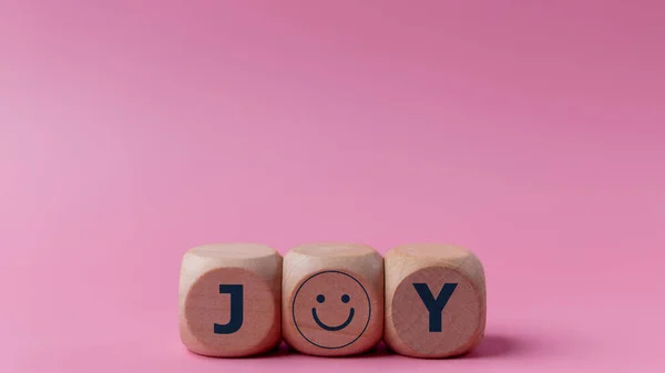 Wortfreude Auf Holzklötzen Mit Einem Lächelnden Gesicht Freude Glück Vergnügen — Stockfoto