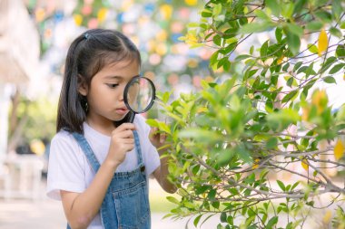 Genç bir kız büyüteçten bir yaprağa bakıyor. Kız etrafındaki doğal dünyayı keşfederken merak ve merak kavramı