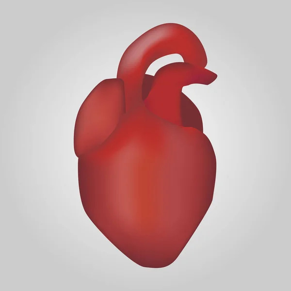 Heart Human Cardiovascular System Realistic Design Isolated Vector Illustration — Archivo Imágenes Vectoriales