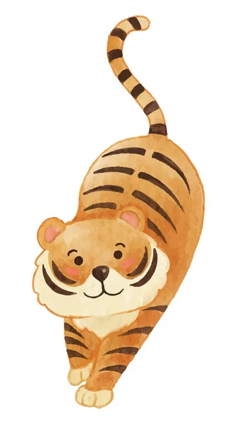 Tigre Disegno Vernice Acquerello Carino Animale Personaggio Dei Cartoni Animati — Vettoriale Stock