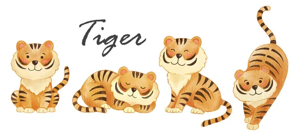 Tigre Pintura Realista Acuarela Animales Silvestres Con Textura Papel Diseño — Vector de stock