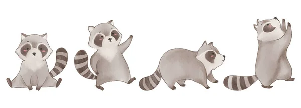 Raccoon Watercolor Painting Design Set Cute Animal Cartoon Character Vector — Stock Vector