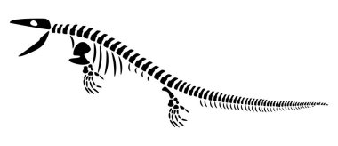 Mosasaurus iskeleti. Siluet su dinozorları. Yan görüş. Vektör .