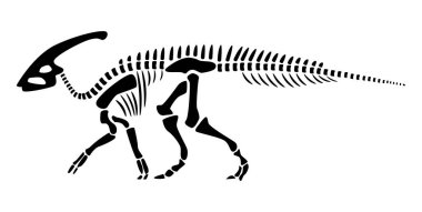 Parasaurolophus iskeleti. Siluet dinozorlar. Yan görüş. Vektör .