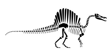 Spinosaurus iskeleti. Siluet dinozorlar. Yan görüş. Vektör .