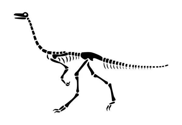 Gallimimus Skeleton Silhouette Dinosaurs Side View Vector — Stock Vector