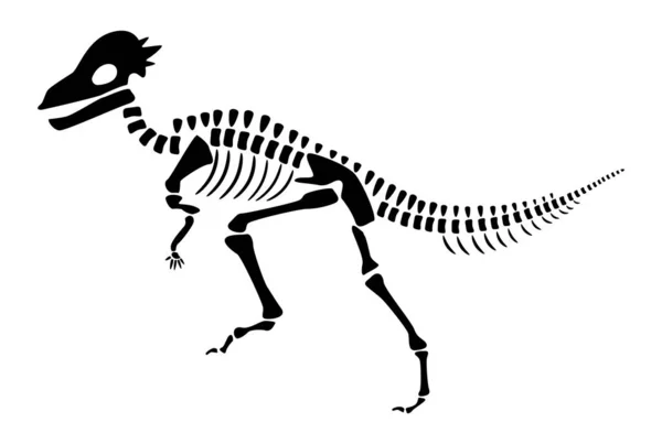Pachycephalosaurus Skeleton Silueta Dinosaurů Boční Pohled Vektor — Stockový vektor