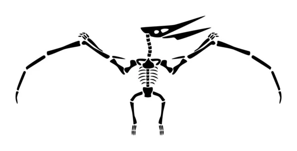 Pteranodon Skelett Silhouette Fliegende Dinosaurier Frontansicht Vektor — Stockvektor