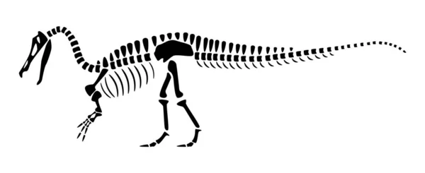 Suchomimus Iskeleti Siluet Dinozorlar Yan Görüş Vektör — Stok Vektör