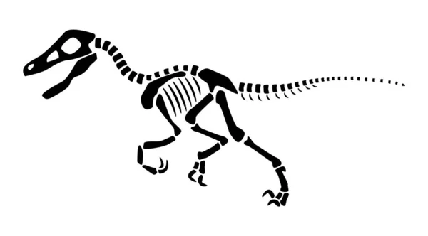 Скелет Велоцираптора Силуэт Динозавров Вид Сбоку Вектор — стоковый вектор