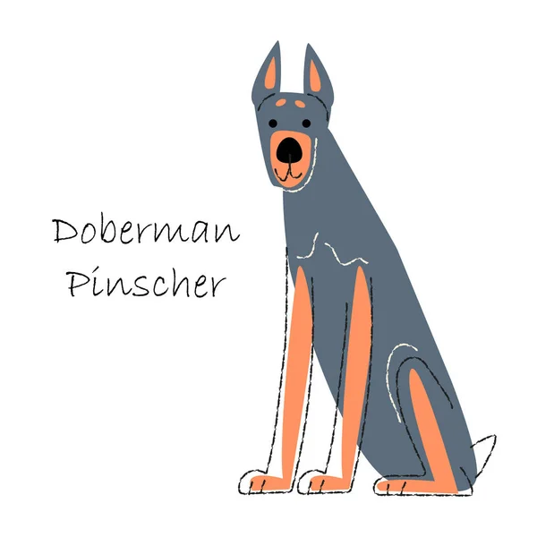 Doberman Pinscher Lindos Personajes Dibujos Animados Para Perros Forma Plana — Vector de stock