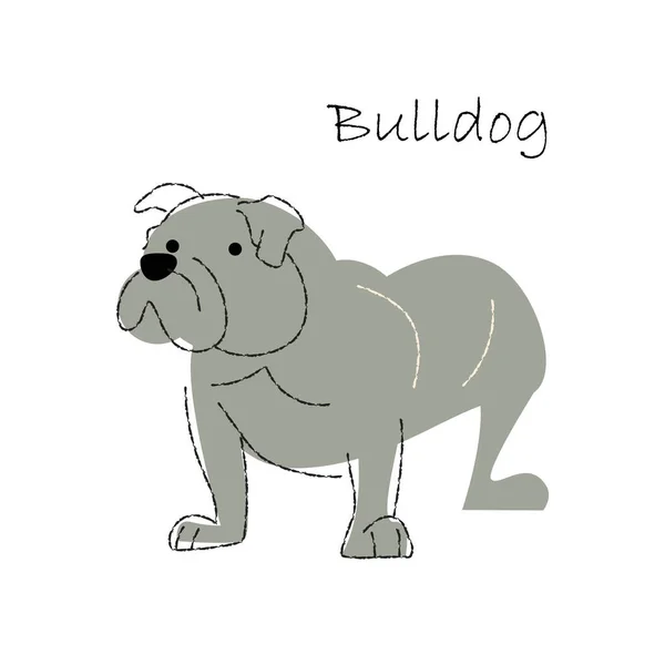 Bulldog Leuke Hond Stripfiguren Vlakke Vorm Lijnslag Ontwerp Vectorillustratie — Stockvector