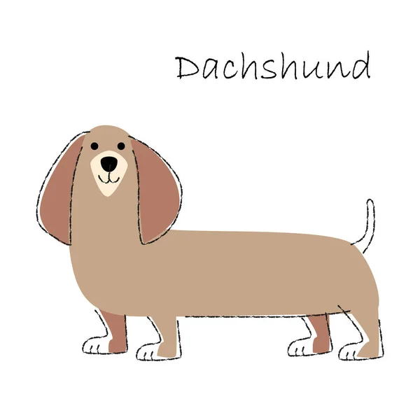 Dachshund Lindos Personajes Dibujos Animados Para Perros Forma Plana Diseño — Vector de stock