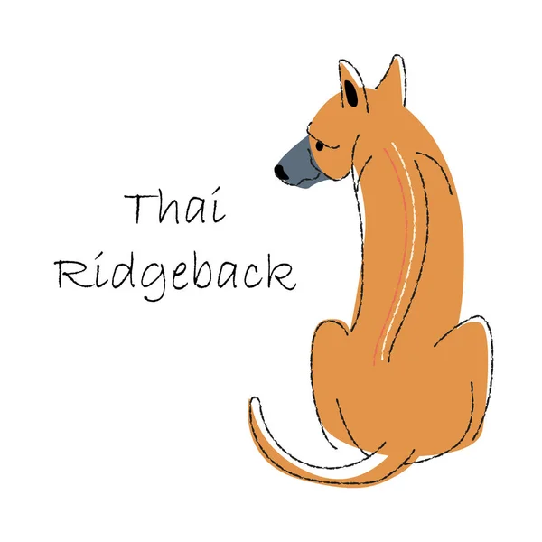 Tailandés Ridgeback Lindos Personajes Dibujos Animados Para Perros Forma Plana — Vector de stock