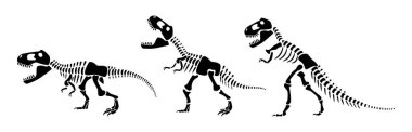 Tyrannosaurus Rex iskelet silueti. Vektör illüstrasyonu .