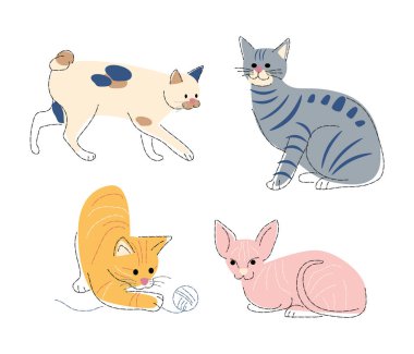 Kedi yetiştirir, Set 1. Düz şekil ve kalem çizim tasarımı. Vektör .