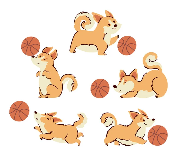 stock vector Welsh corgi dogs dribbling a basketball . Hand drawn style cartoon characters . White isolate background . Vector .