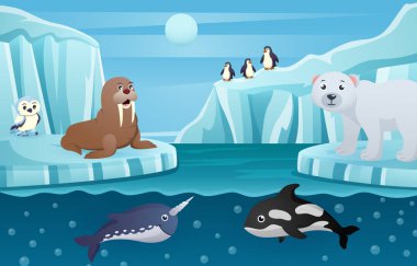 Pek çok hayvanın olduğu Antarktika sahnesi. Vektör .