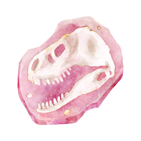 Ископаемые останки динозавра тираннозавра рекса черепа в скале. Дизайн акварели. Вектор .