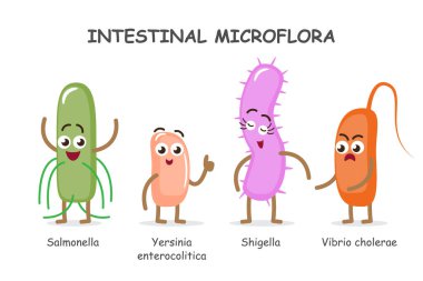 Bağırsak mikroflorası. Şirin tıbbi mikrobiyo çizgi film karakterleri koleksiyonu. Vektör. 3 'ün 3' ü .