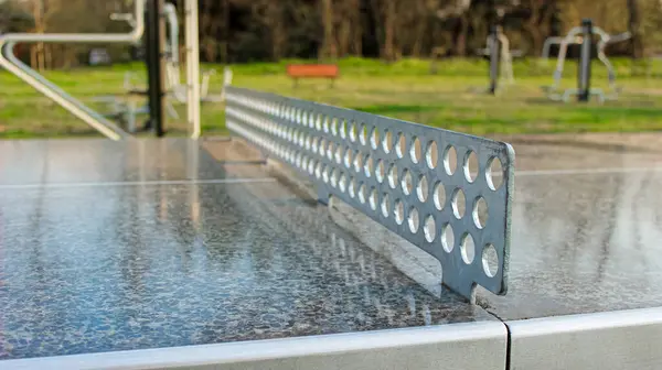 Şehir parkında Metal Ağlı Beton Masa Tenisi Masası