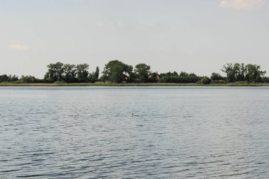 Mavi Gök ve Ufuk ile Minimalist Yaz Gölü Manzarası