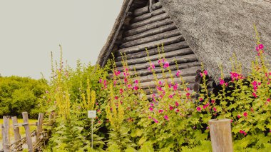 Geleneksel Ahşap Kır Evi Çatı ve Yaban Çiçekleri Resimli Kırsalda