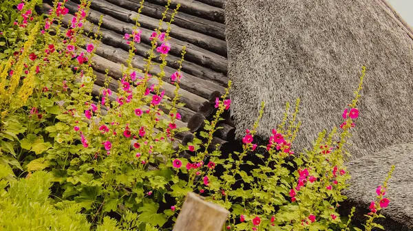 Kapalı Çatı ve Yaban Çiçekleri ile Kırsal Ahşap Ev 'in Yakın plan Çekimi