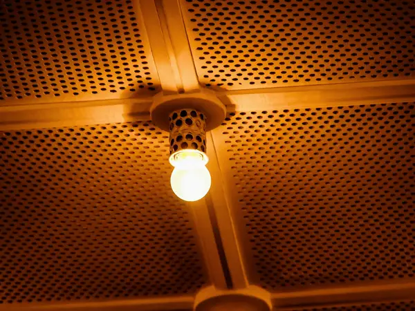 Close-Up of Single Light Bulb on an Elegant Decorative Ceiling