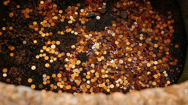 Close-Up of Various International Coins Thrown into a Well for Good Luck