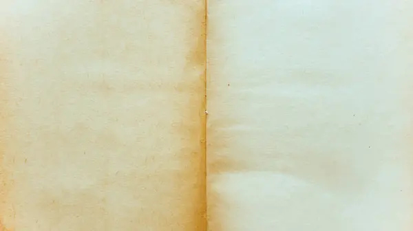 Open Antique Book with Aged Blank Pages and Yellowish Paper Texture