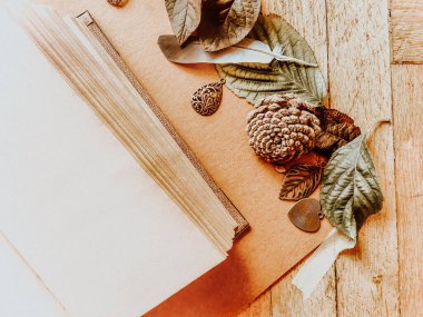 Artistic Composition with Open Book, Pinecones, Leaves, and Vintage Decorative Elements
