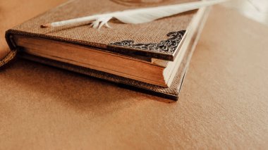 Close-Up of a Gold Metal Corner on an Antique Book with a White Feather Pen on it