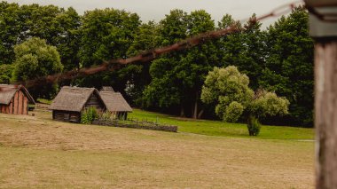 Rolling Country Manzarasında Geleneksel Ahşap Ahırlar ve Yeşil Tarlalar - Yazın Huzurlu Kırsal Polonya Sahnesi