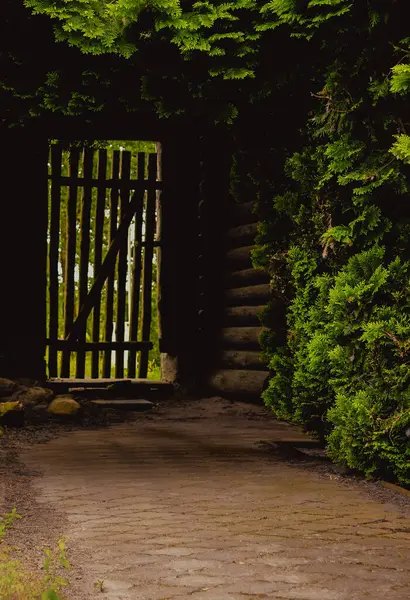 Yeşillikte Saklı Kırsal Ahşap Kapı Doğa ve Gizem Girişleri