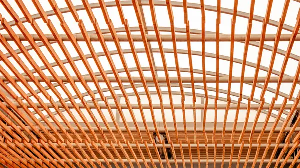 Doğal Işık Filtreleme Tasarımı ile Eğri Ahşap Trellis Çatı Yapısı