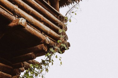 Açığa Çıkan Kereste Kirişleri ile Kırsal Kapalı Ahşap Kulübe Çatı