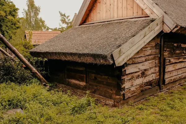 Yeşil Kırsal Arazide Çatılı Küçük Ahşap Ahşap Kulübe