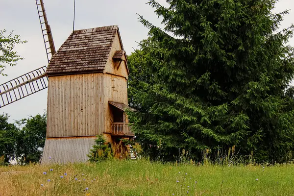 Ağaçlarla çevrili geleneksel Polonya Yel Değirmeni Dikey Görünümü