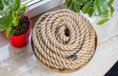 Kahverengi Jüpiter Tepside Sarılı Pencere - Kırsal Kurtuluş, Kamp ve Denizcilik Konsepti