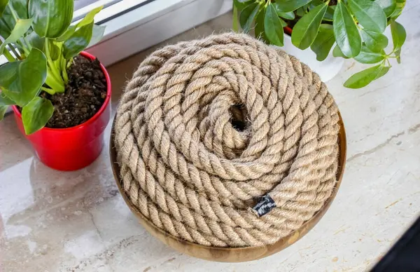 Kahverengi Jüpiter Tepside Sarılı Pencere - Kırsal Kurtuluş, Kamp ve Denizcilik Konsepti