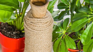 Kırsal İç Tasarım İçin Dekoratif Ev Bitkileriyle Doğal Jüt-Sarılı Ahşap Şişe