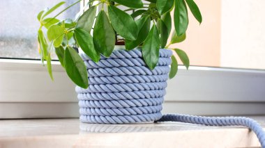 İç Yüzeye örülmüş Gri halat saksısı - Sürdürülebilir Ev ve İç Modelleme için ideal