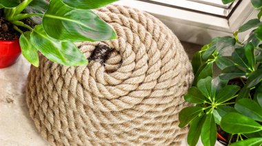 Denizcilik ve Bushcraft için sarmalanmış Deniz Halatı Yeşil Kapalı Yapraklarla Kullan