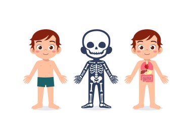 Okulda eğitim için çocuk vücut yapısı